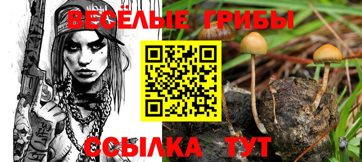 Псилоцибиновые грибы мухоморы Чехов
