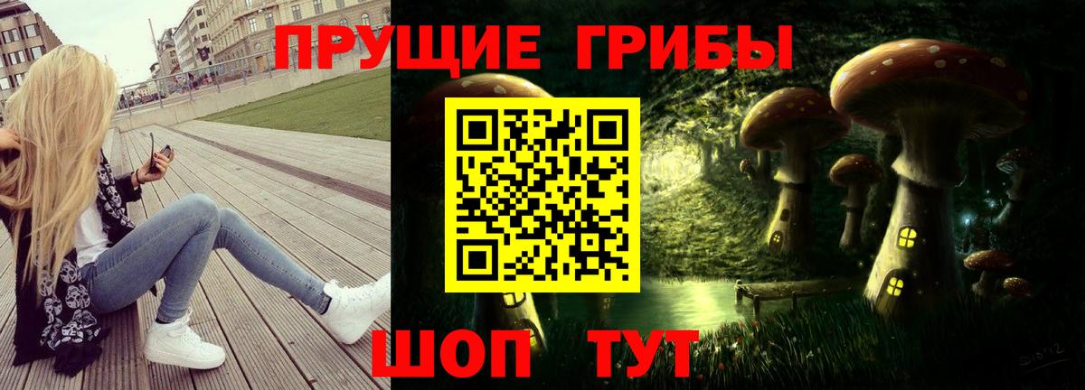 Чехов  Галлюциногенные грибы ЛСД  хочу   Вход с VPN 